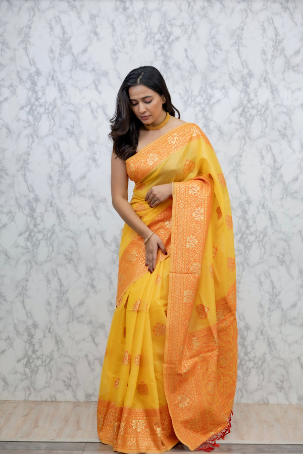 Cotton Saree